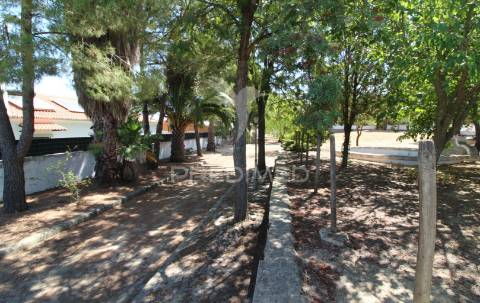 Quinta das corunheiras