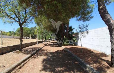 Quinta das corunheiras