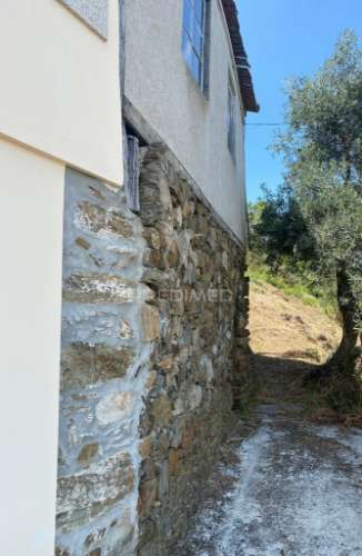 Douro vinhateiro