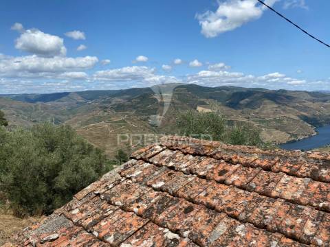 Douro vinhateiro