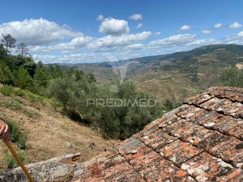 Douro vinhateiro
