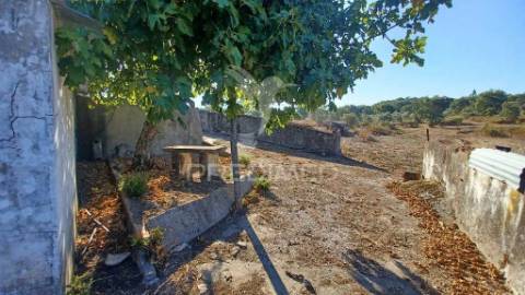 Quinta rural em zona calma e tranquila