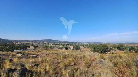 Quinta rural em zona calma e tranquila