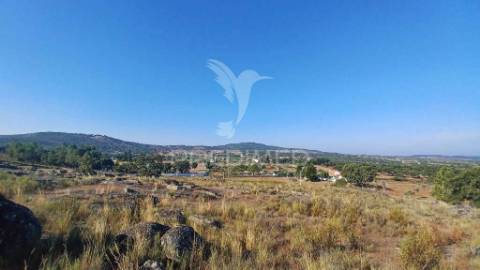 Quinta rural em zona calma e tranquila