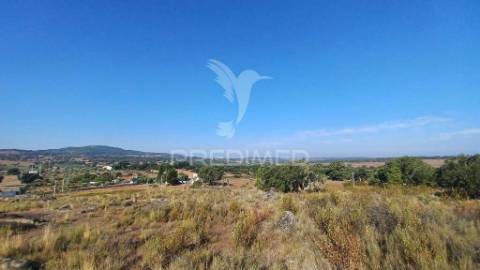 Quinta rural em zona calma e tranquila