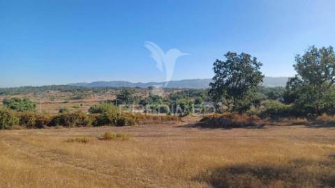 Quinta rural em zona calma e tranquila