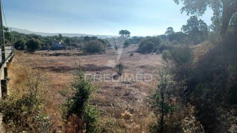 Quinta rural em zona calma e tranquila