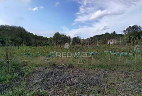 Descubra este magnífico terreno rústico com 5.440,m²,