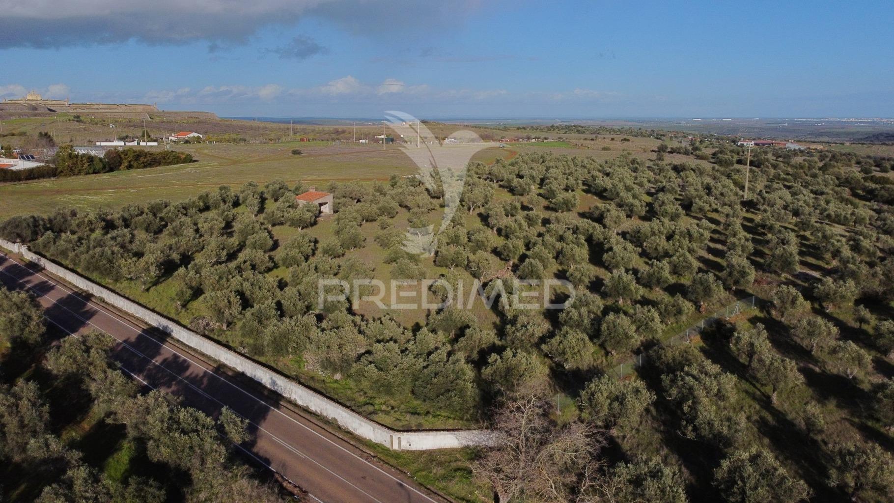 Terreno urbanização carvalha elvas