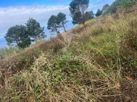 Moradia para recuperar na calheta-prazeres com 1.250m2 de terreno