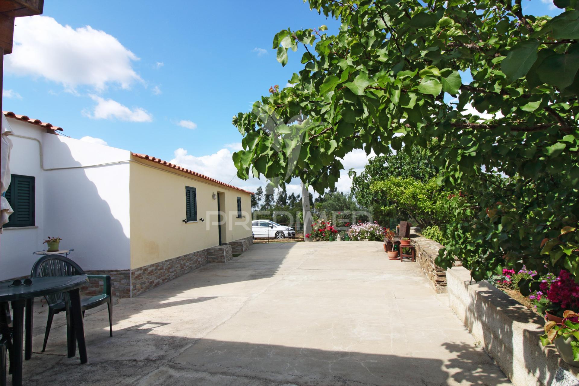 Quinta com 7,500 ha em são martinho das amoreiras