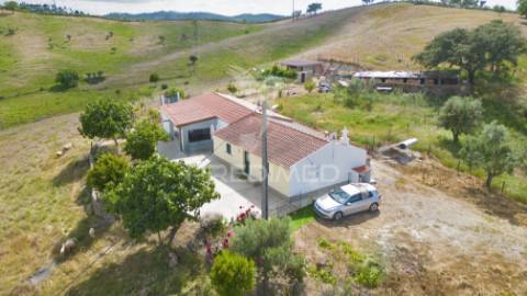 Quinta com 7,500 ha em são martinho das amoreiras