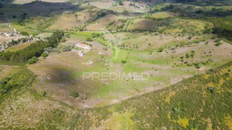 Quinta com 7,500 ha em são martinho das amoreiras