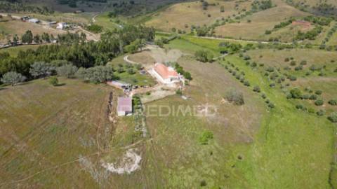 Quinta com 7,500 ha em são martinho das amoreiras