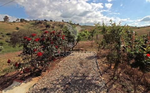 Quinta com 7,500 ha em são martinho das amoreiras