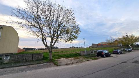5 lotes para construção de moradias térreas em oliveirinha