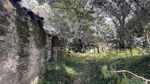 Casa rústica em ruína para recuperar  | terreno 600 m² | turiz, vila verde