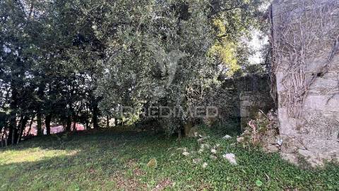Casa rústica em ruína para recuperar  | terreno 600 m² | turiz, vila verde