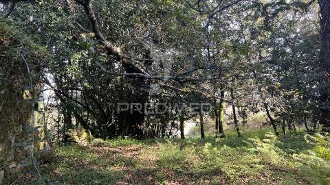 Casa rústica em ruína para recuperar  | terreno 600 m² | turiz, vila verde