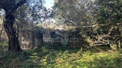 Casa rústica em ruína para recuperar  | terreno 600 m² | turiz, vila verde