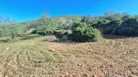 Terreno rustico em loulé com acesso directo da estrada