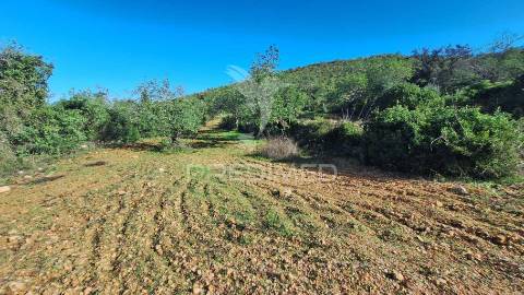 Terreno rustico em loulé com acesso directo da estrada