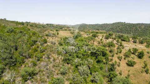 Quinta com 2,3000 ha e ruinas com 72 m2 a 11 km de odemira