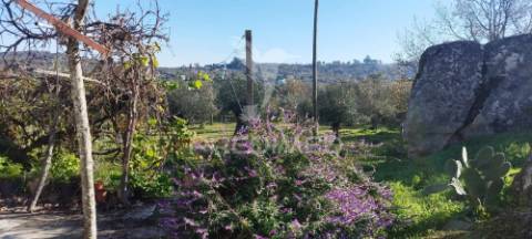 Quinta rural
