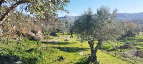Quinta rural