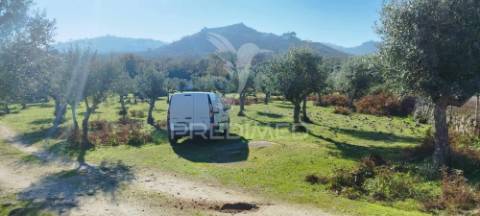 Quinta rural