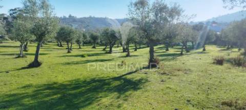 Quinta rural