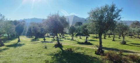 Quinta rural