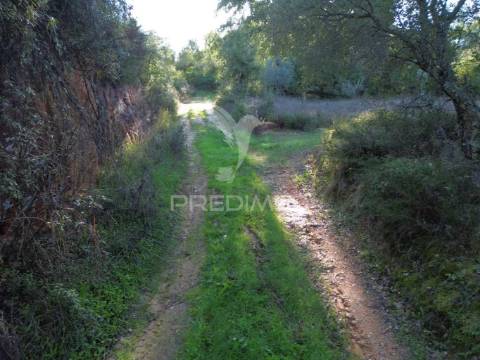 Terreno rústico de 9.680 m² em arneiro das milhariças