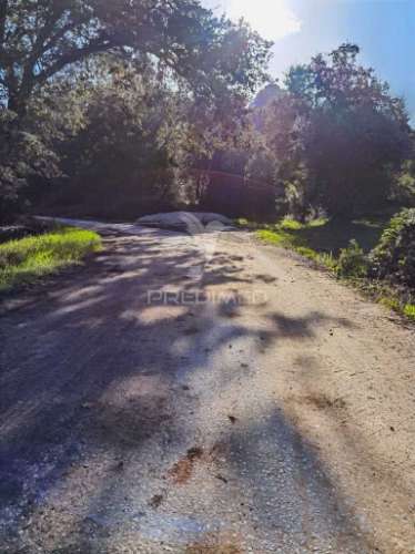 Terreno rústico de 9.680 m² em arneiro das milhariças