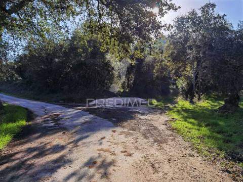 Terreno rústico de 9.680 m² em arneiro das milhariças