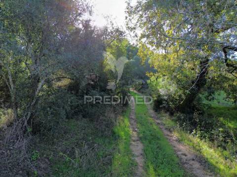 Terreno rústico de 9.680 m² em arneiro das milhariças