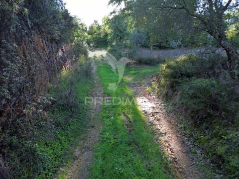 Terreno rústico de 9.680 m² em arneiro das milhariças