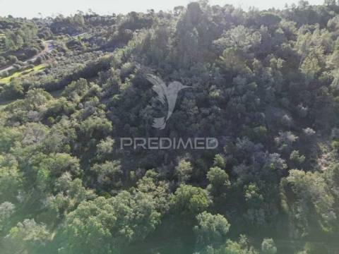 Terreno rústico de 9.680 m² em arneiro das milhariças