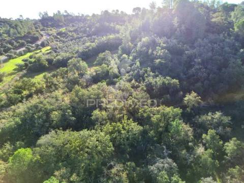 Terreno rústico de 9.680 m² em arneiro das milhariças