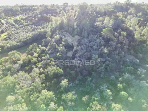 Terreno rústico de 9.680 m² em arneiro das milhariças