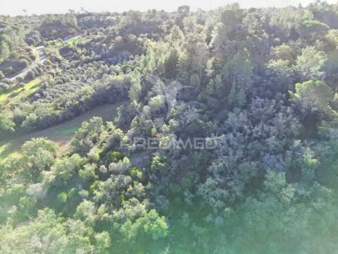 Terreno rústico de 9.680 m² em arneiro das milhariças