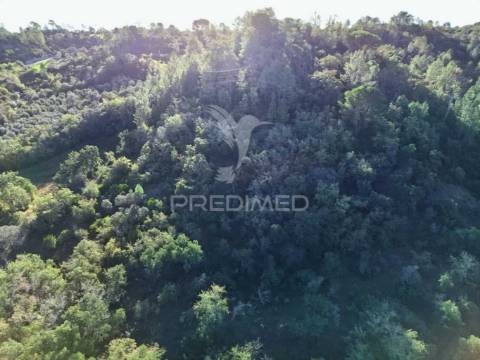 Terreno rústico de 9.680 m² em arneiro das milhariças