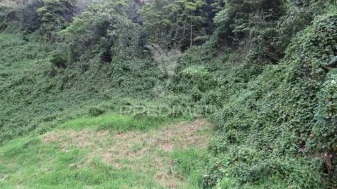 Terreno  com 2.387m2 no estreito de câmara de lobos