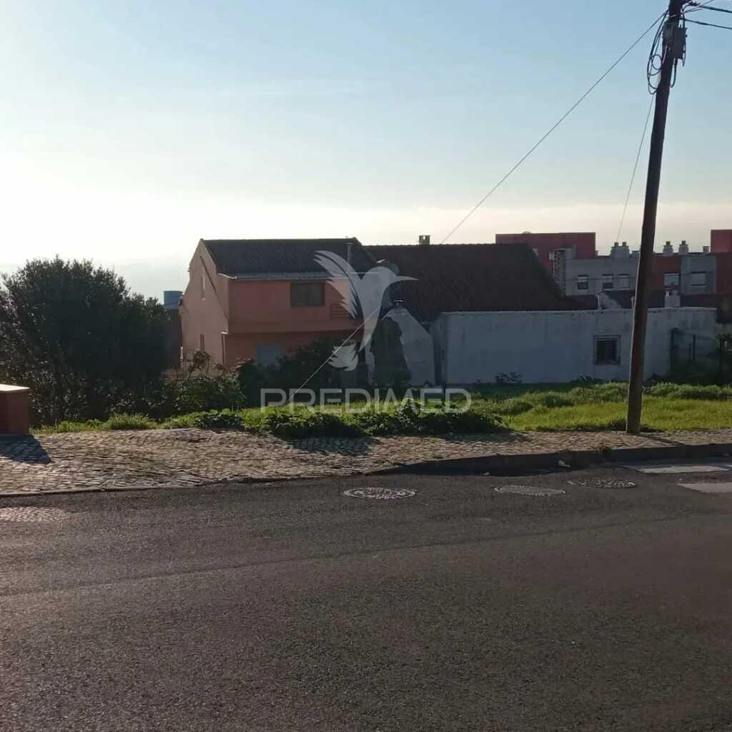 Lote amadora