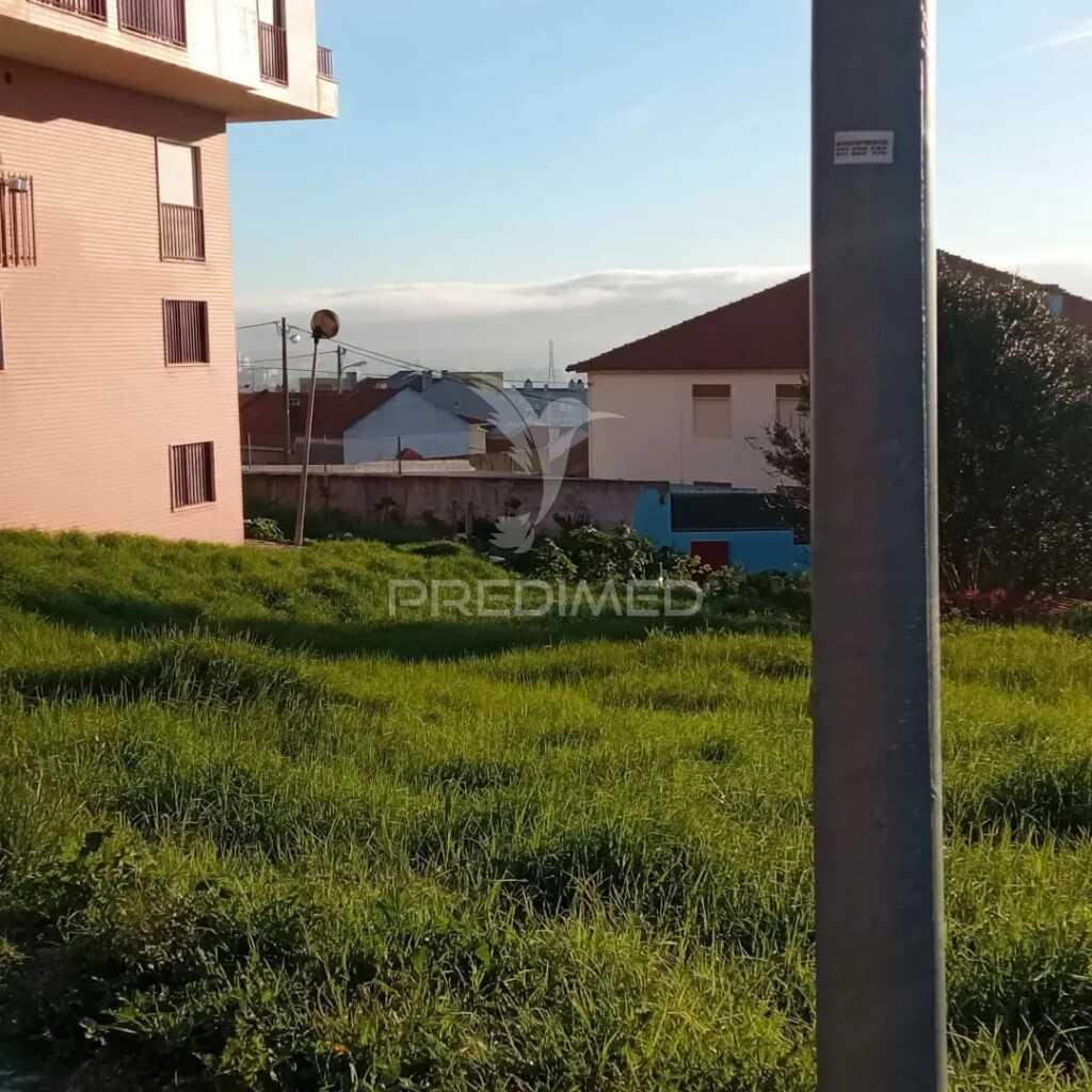 Lote amadora