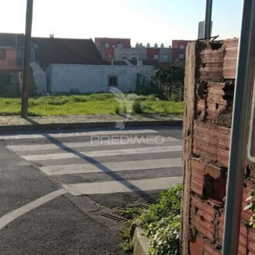 Lote amadora
