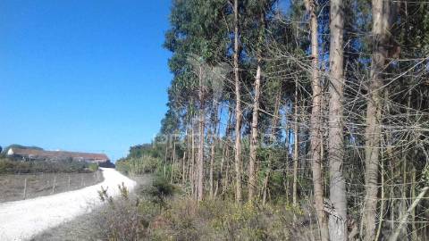 Terreno rustico
