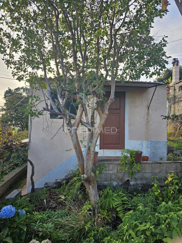 Moradia típica madeirense com terreno de 3140 m²