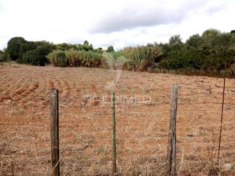 Magnífico terreno!