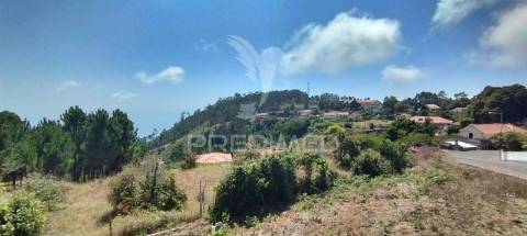 Moradia t3 com piscina calheta